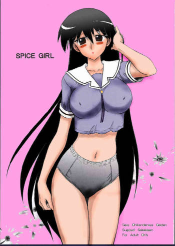 Spice Girl    2.0 cover