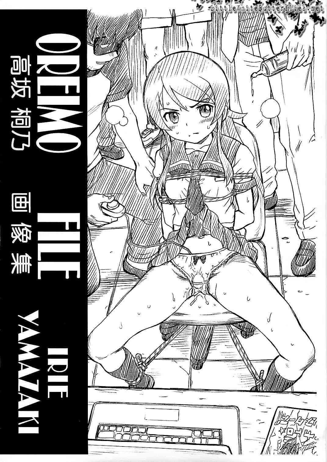 Kousaka Kirino Gazou Shuu page 1 full