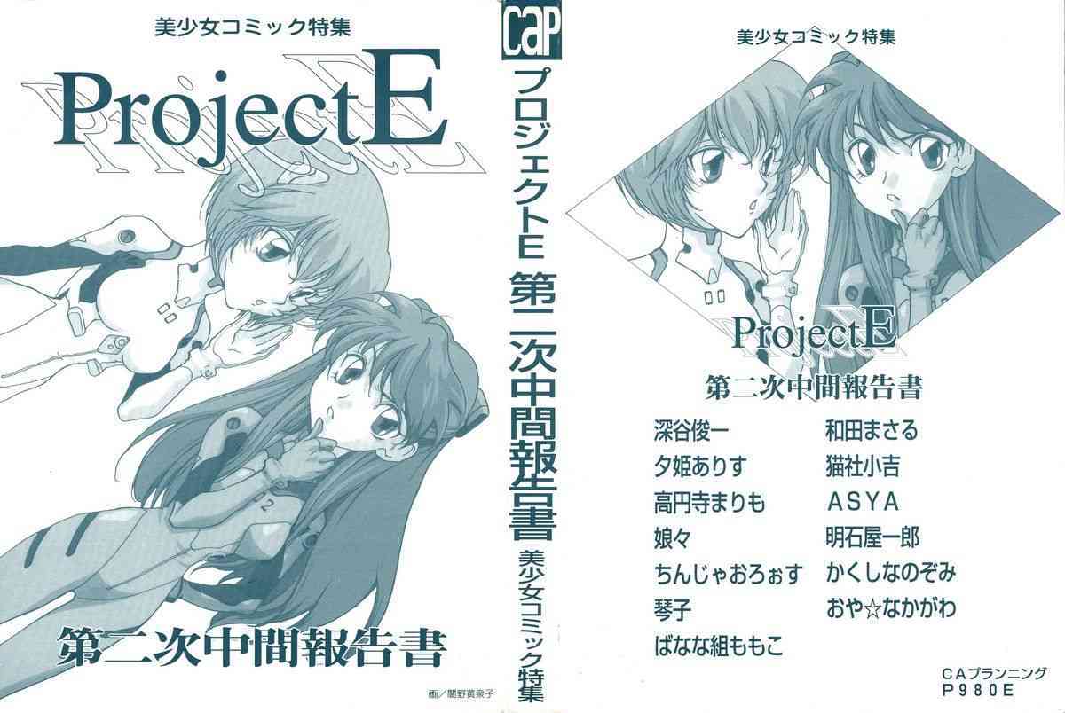 ProjectE Dainiji Chuukanhoukoku page 2 full
