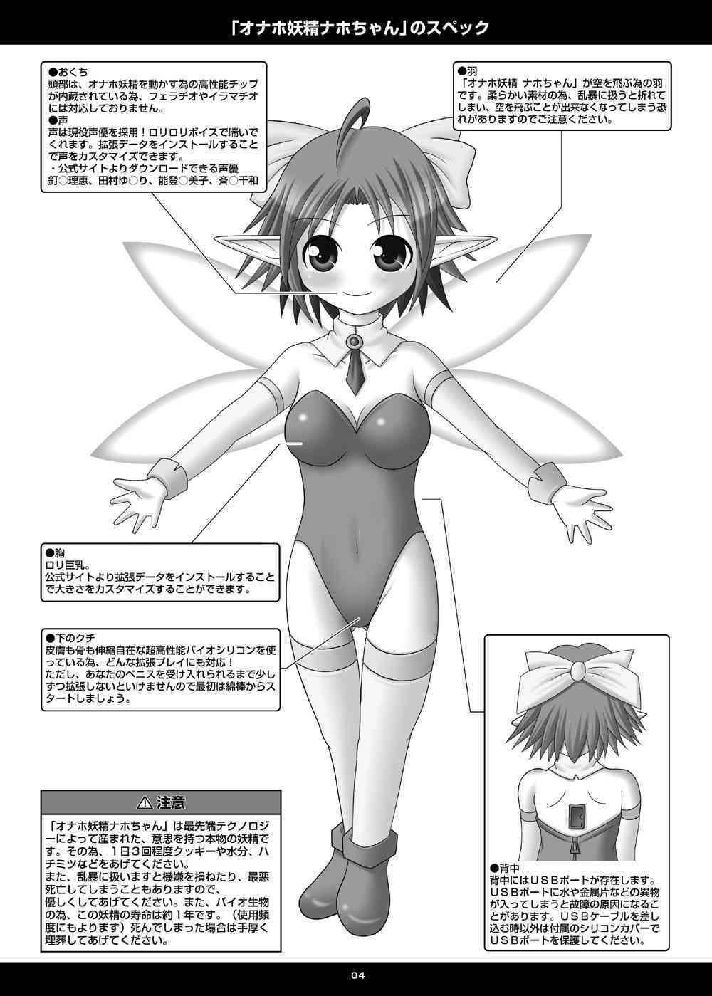 Onaho Yousei Toriatsukai Setsumei-sho page 3 full