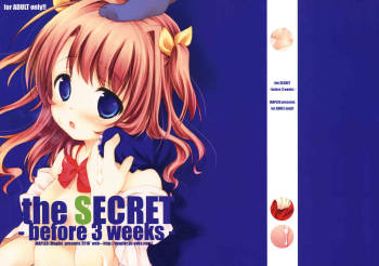 the SECRET -before 3 weeks- Copyshi cover