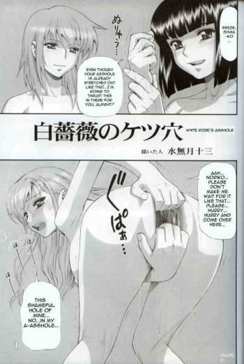 White Rose's Asshole cover