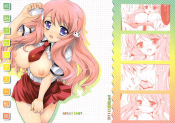 Himeji-san to Test Benkyou cover