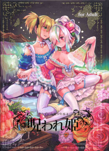 Korizuni Josou Shounen Hon 4 Norowareki cover