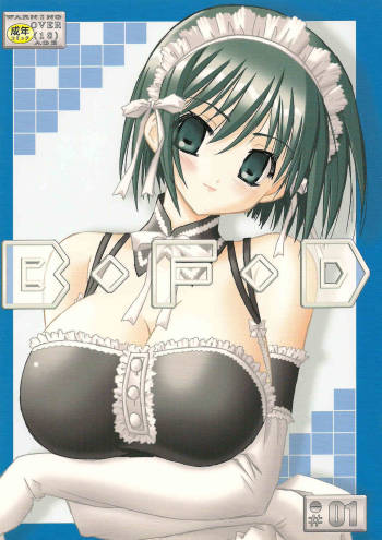 B-F-D 01 cover