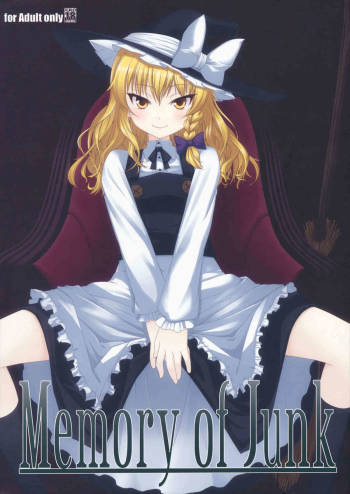 Memory of Junk cover