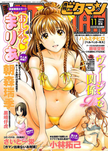 Monthly Vitaman 2009-11 cover