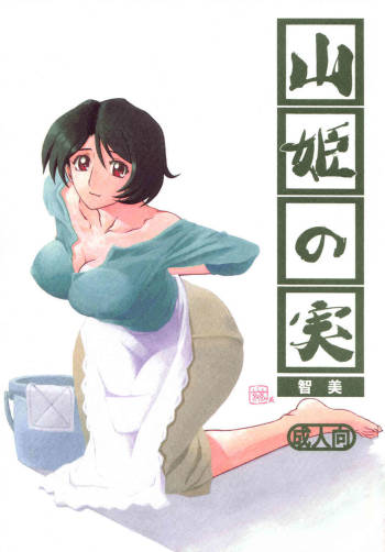 Yamahime No Mi Satomi 1-2 cover