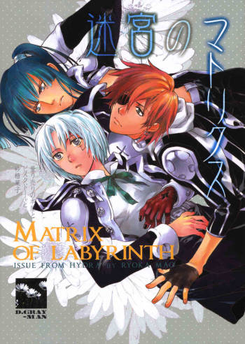 The Matrix of Labirynth cover