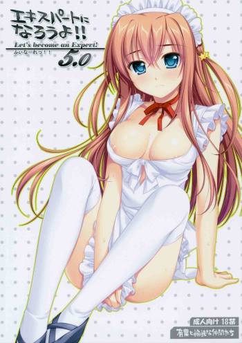 Expert ni Narouyo!! 5.0 cover
