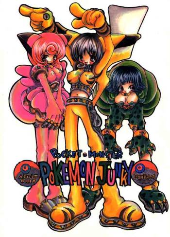 Pokemon Junky cover
