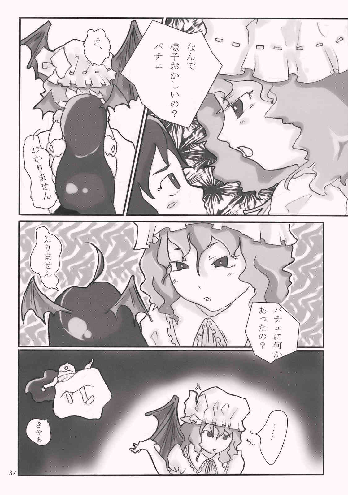 Gensokyo x Patchouli page 8 full
