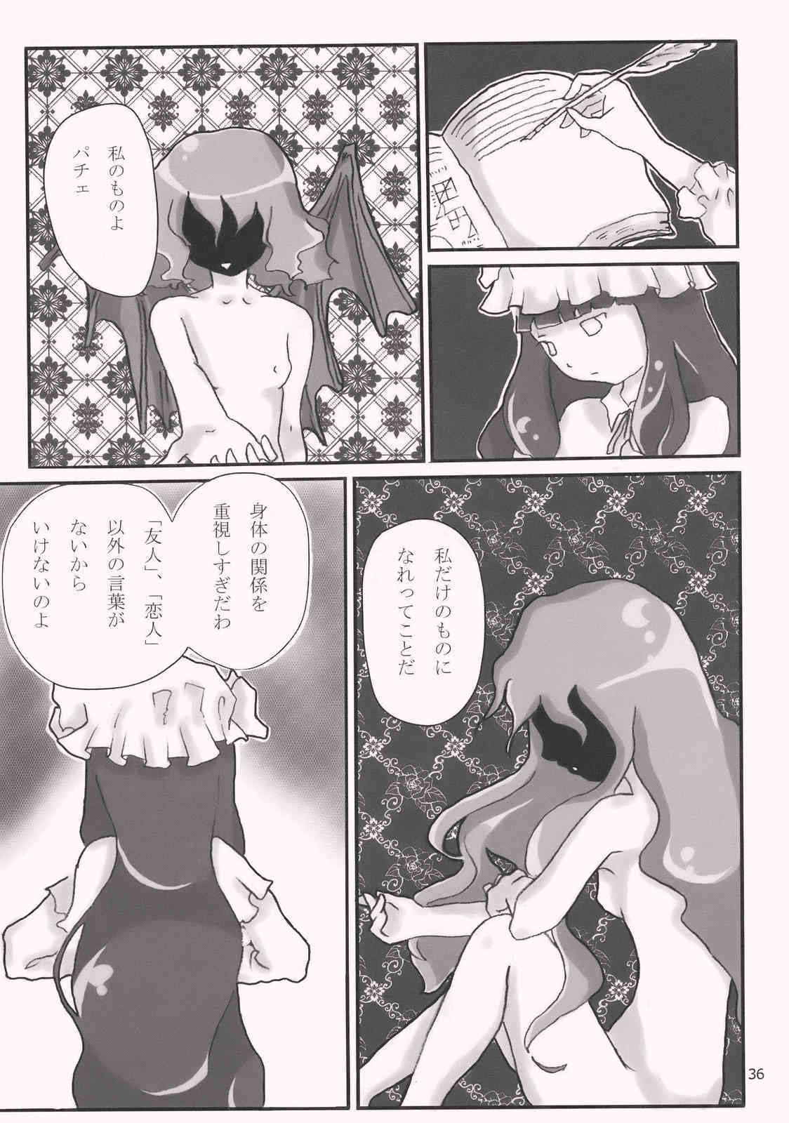 Gensokyo x Patchouli page 9 full