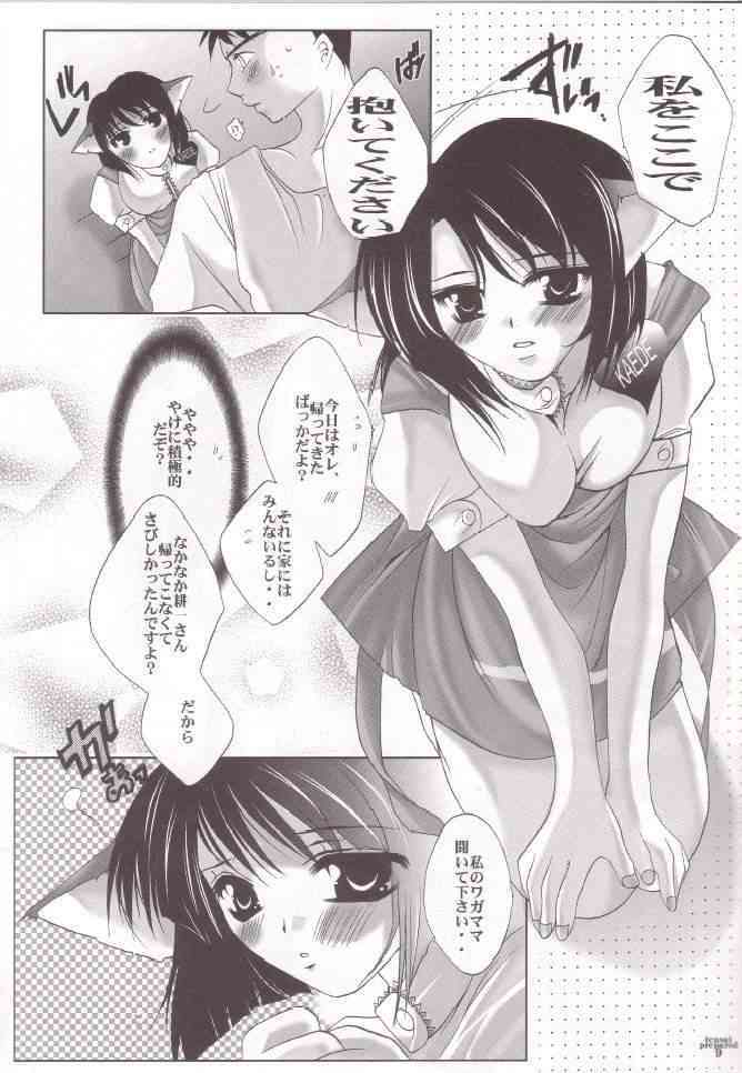 Tensai Preparate page 8 full