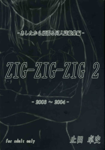 Zig-Zig-Zig2 cover