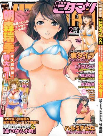 Monthly Vitaman 2009-02 cover