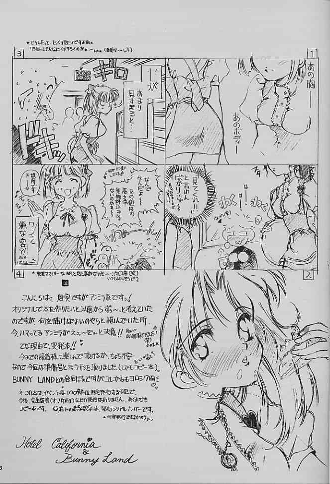 & Bunny Land  Anna Miller's Sweet Angel page 3 full