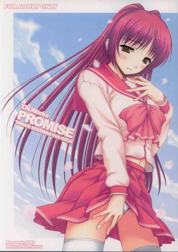 T.N.Works PROMISE cover