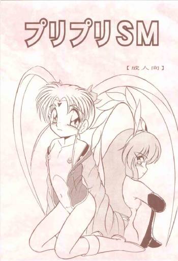 PuriPuri SM cover