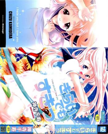 Kirai, Demo Suki cover