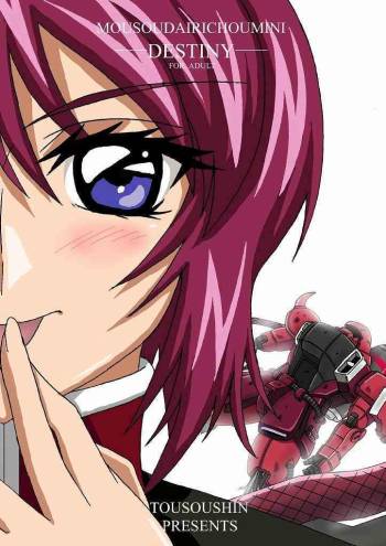 Mousou Dairi Chou Mini Destiny cover