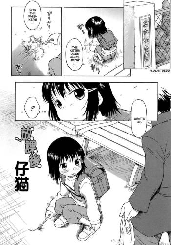 After School Kitten cover