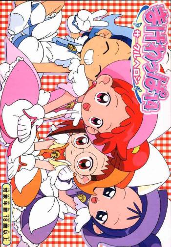 Magewappa 14 cover