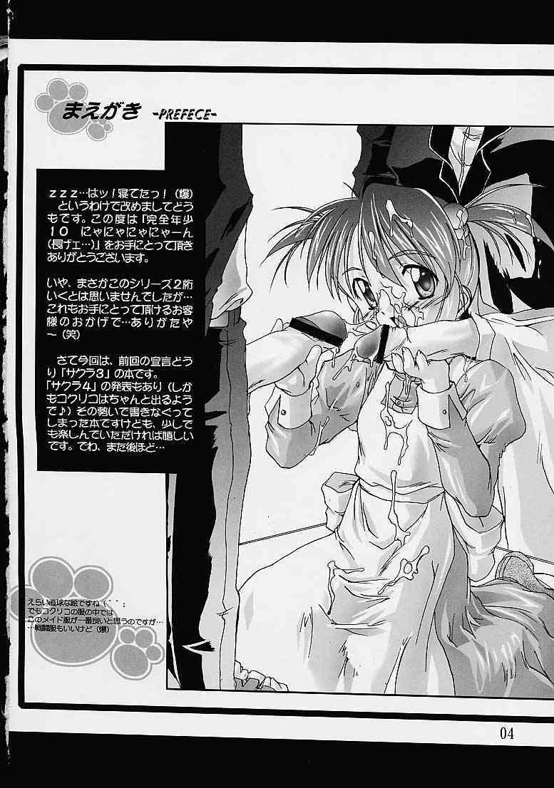 Kanzen Nenshou 10 Nya Nya Nya Nyaan page 3 full
