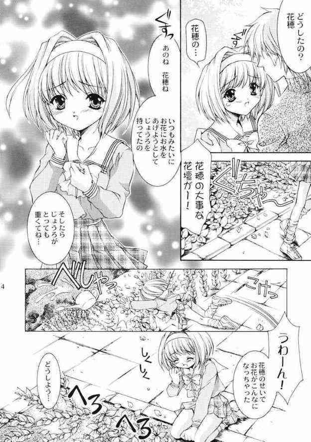 FLOWER BASE page 3 full