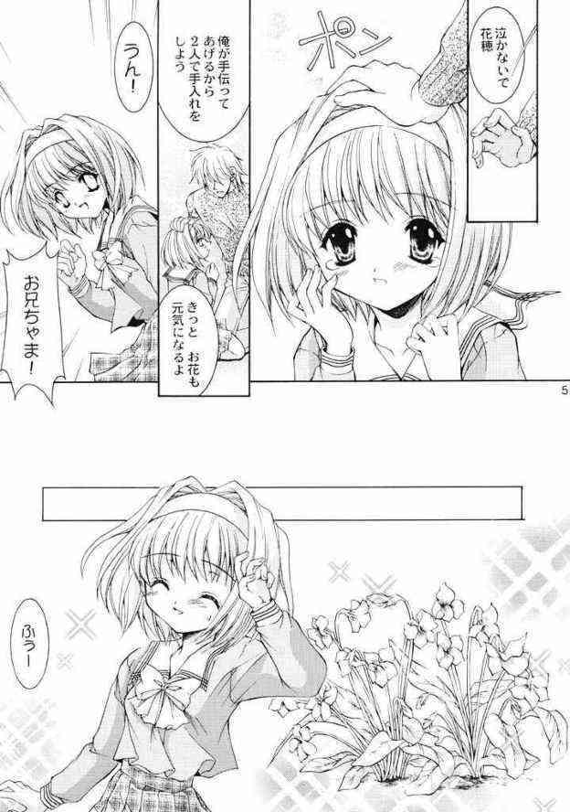 FLOWER BASE page 4 full