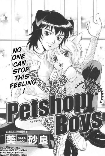 Petshop Boys cover