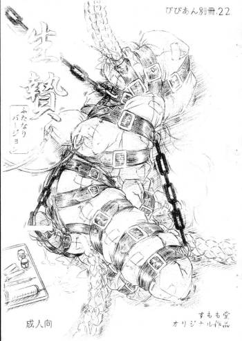 Bibi Anbetsu 22 cover