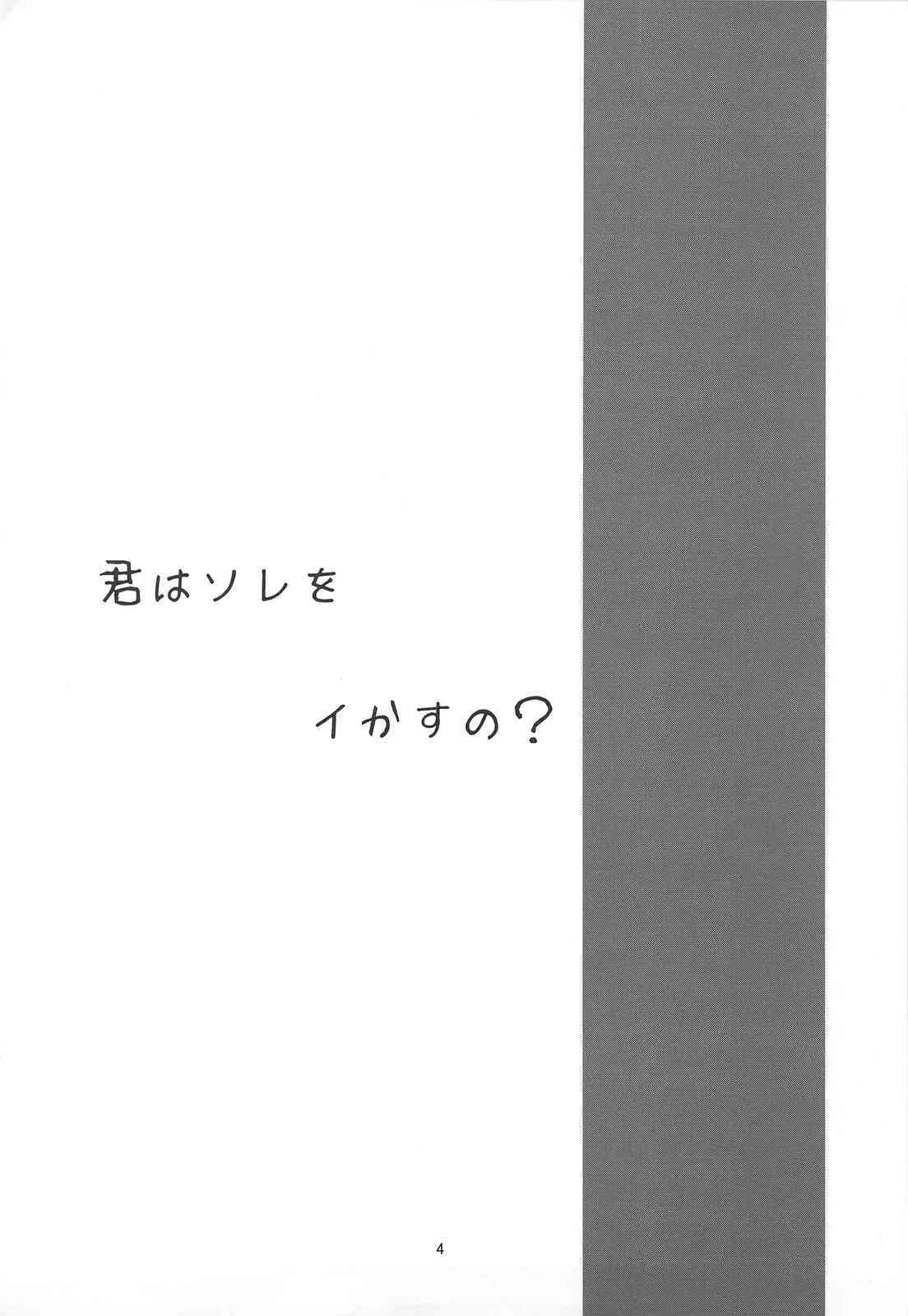 Ganzfeld Experiment page 3 full