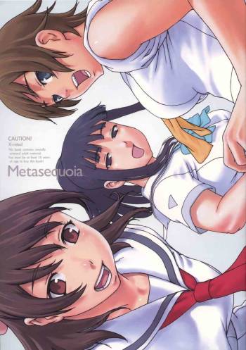 Metasequoia cover