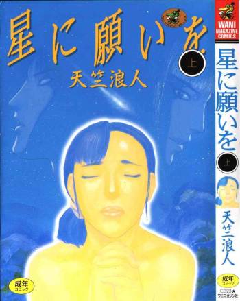 Hoshi ni Negai o Jou cover