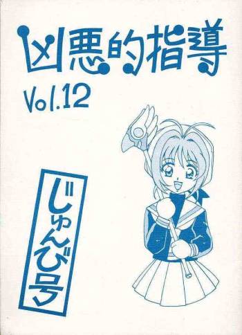 Kyouakuteki Shidou Vol. 12 Junbigou cover