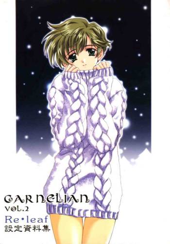 CARNELIAN vol.2  - Re·Leaf Settei Shiryou Tsudo cover