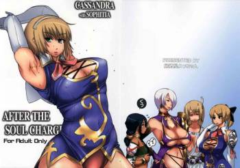 After The Soul Charge cover