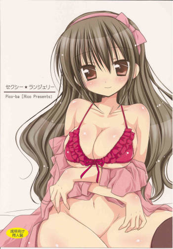 Sexy Lingerie cover