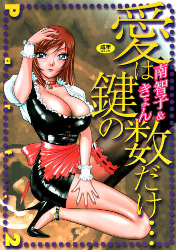 Ai wa Kagi no Kazu dake Vol.2 cover
