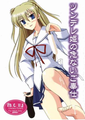 Tsundere hime no abunai Gohoushi cover