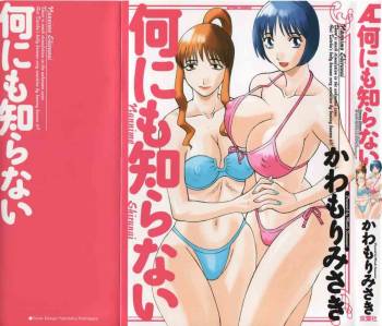 Nannimo Shiranai cover