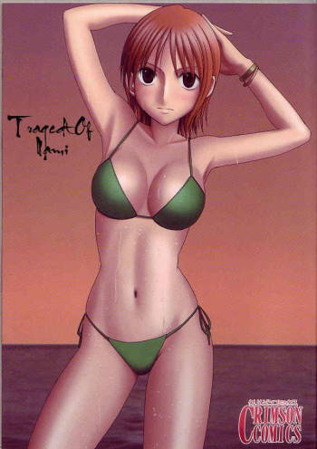 The Tragedy of Nami cover