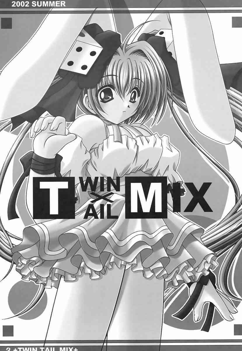 Twin Tail Mix page 2 full