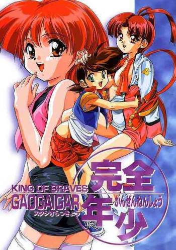 Kanzen Nenshou King Of Braves Gao Gai Gar cover