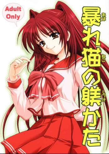 Abareneko no Shitsukekata cover
