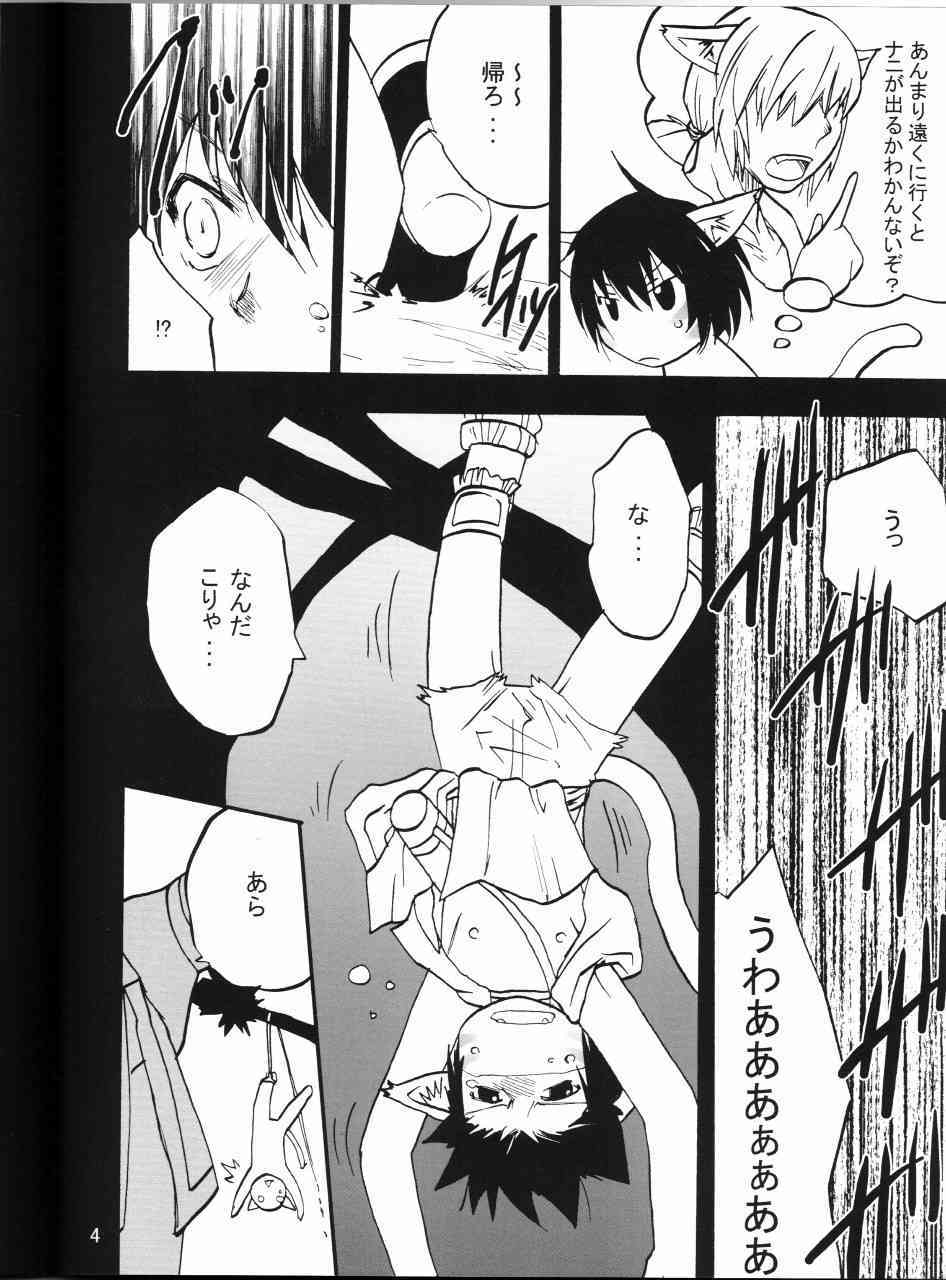FFXI - Mithra page 3 full