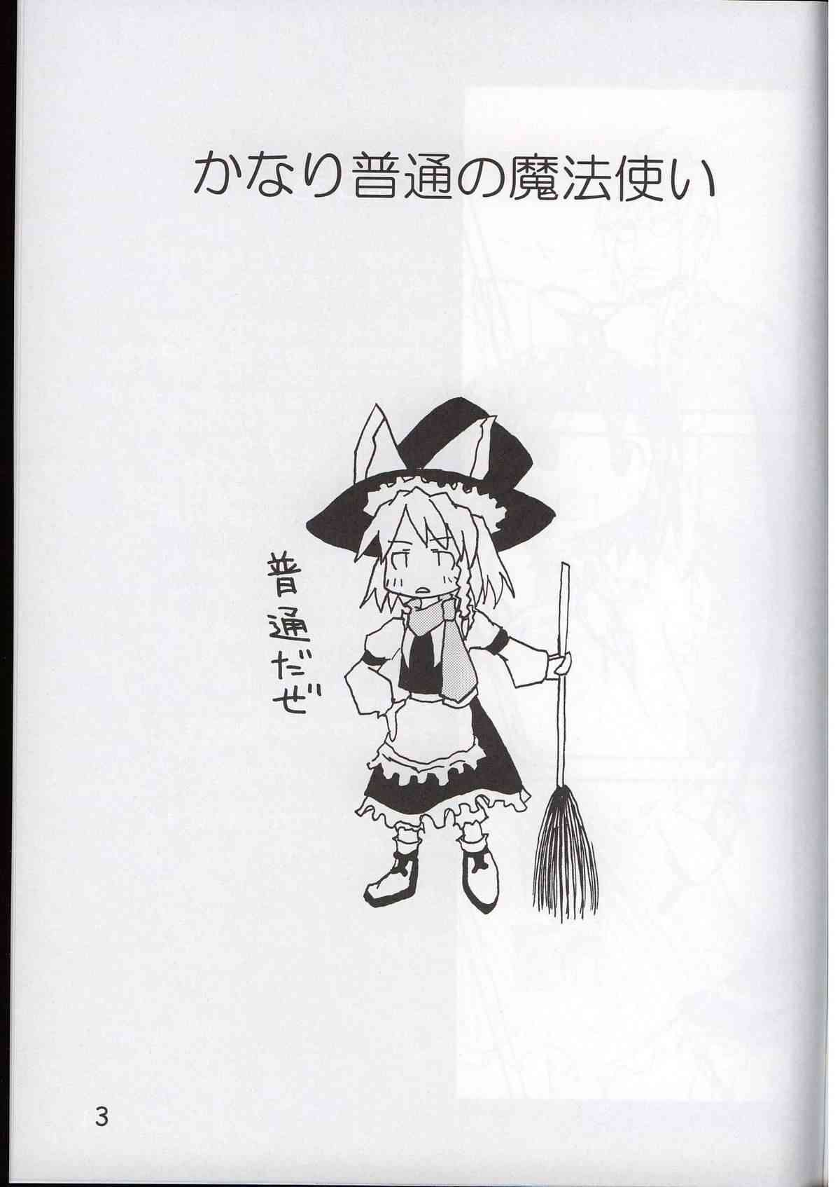 かなり普通の魔法使い page 2 full