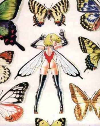 Bondage Fairies 2 cover