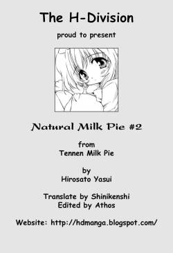 Natural Milk Pie #2